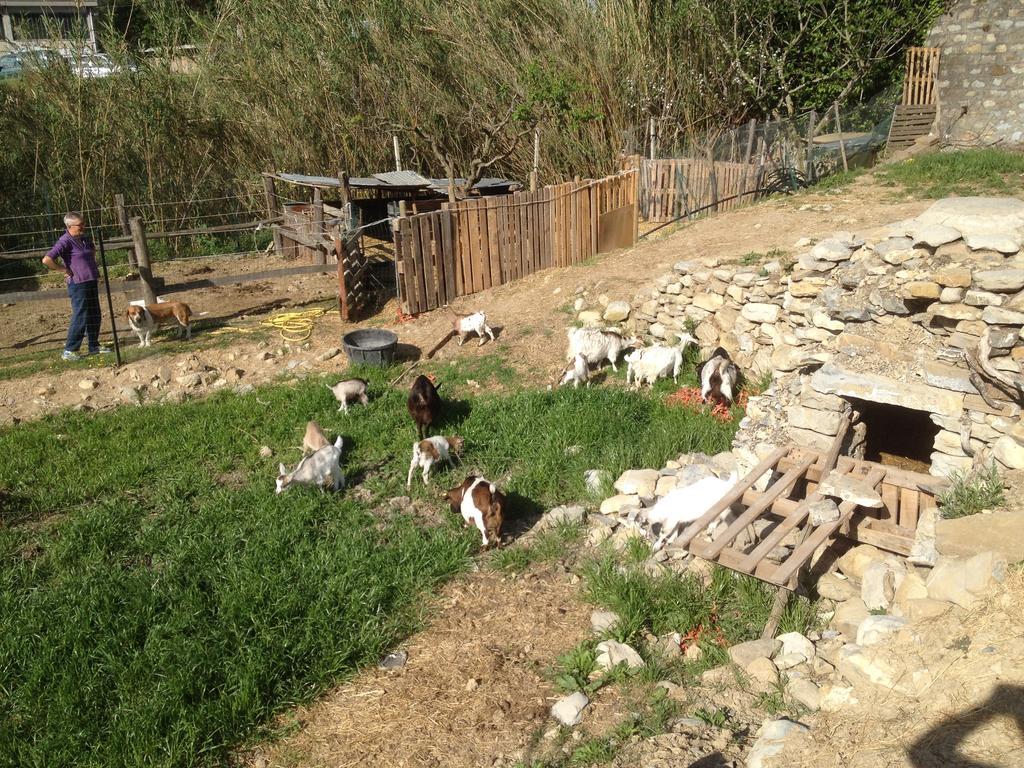 Il Piccolo Ranch Hotell Cervo Eksteriør bilde