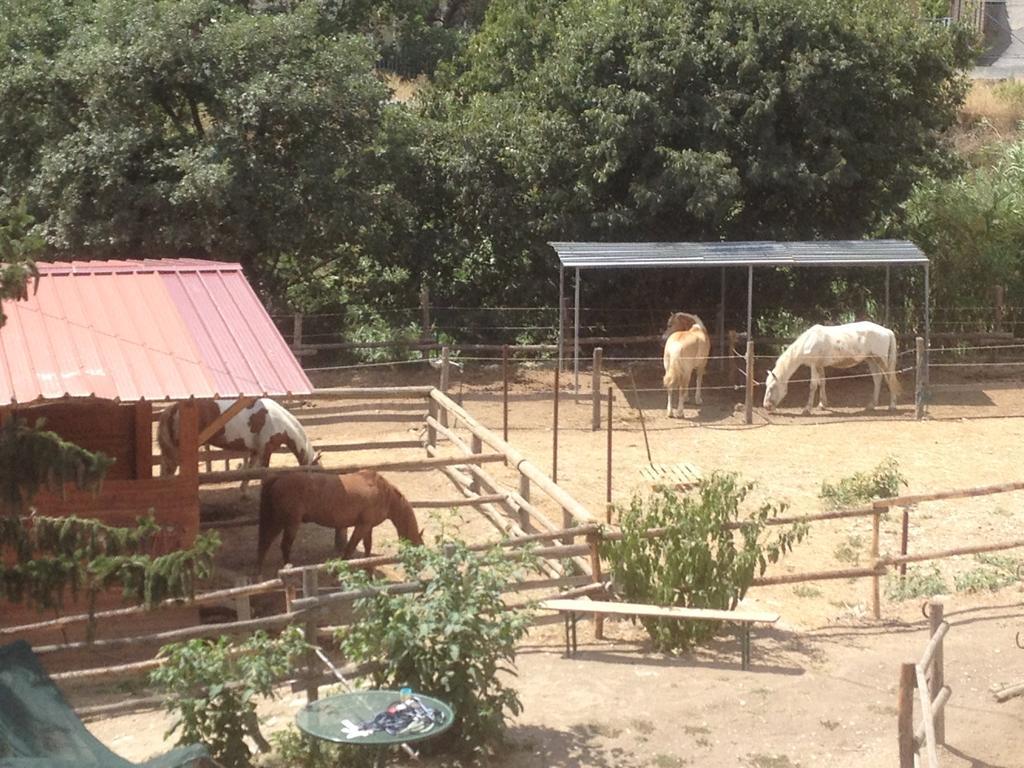 Il Piccolo Ranch Hotell Cervo Eksteriør bilde