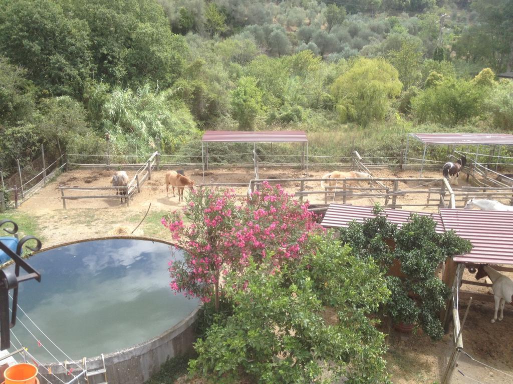 Il Piccolo Ranch Hotell Cervo Eksteriør bilde